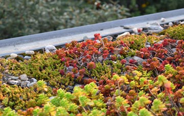the cost of Drayton Bassett green roof installation
