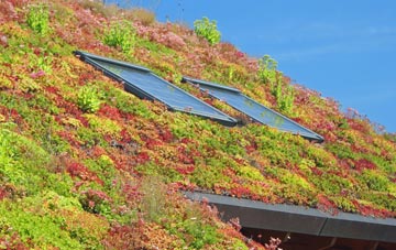Drayton Bassett living roof systems