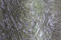 Drayton Bassett fibreglass roof work